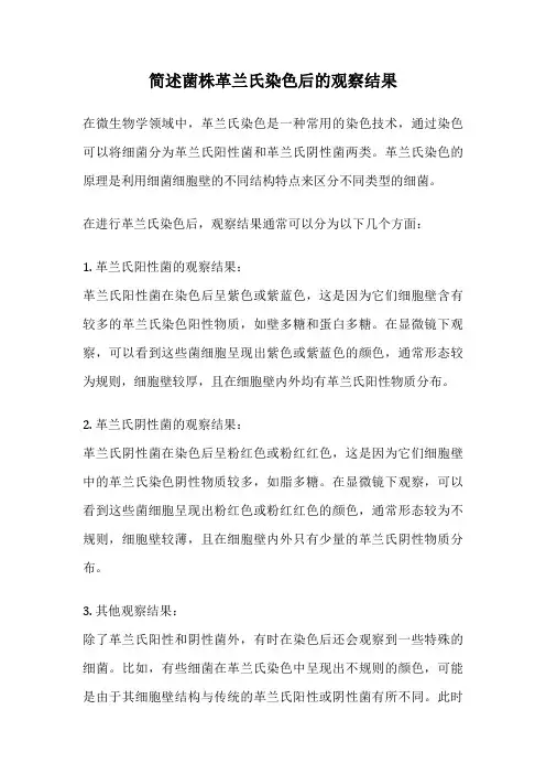 简述菌株革兰氏染色后的观察结果
