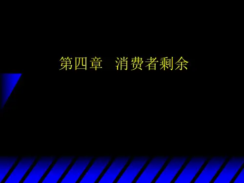 中级微观经济学-第四章 消费者剩余
