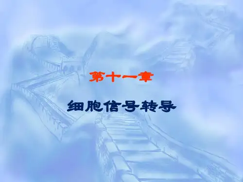 细胞生物学第11章-细胞通讯与信号转导