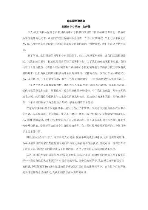 我的国培微故事