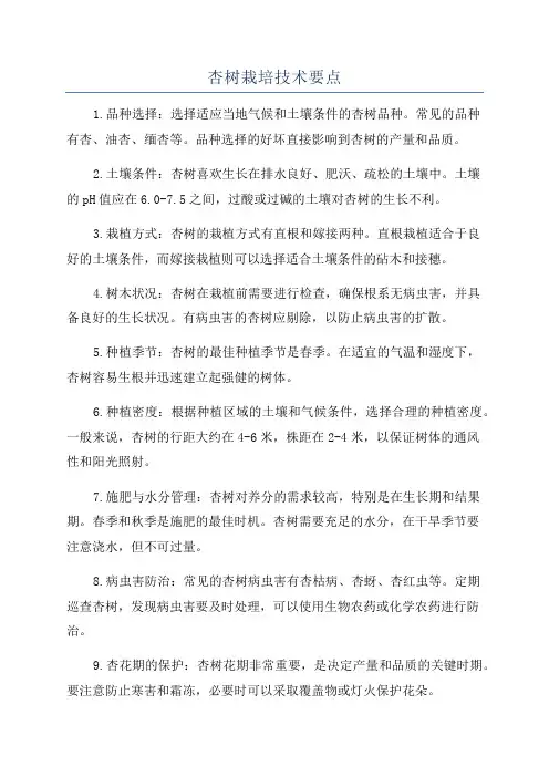 杏树栽培技术要点