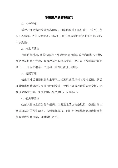 洋葱高产的管理技巧
