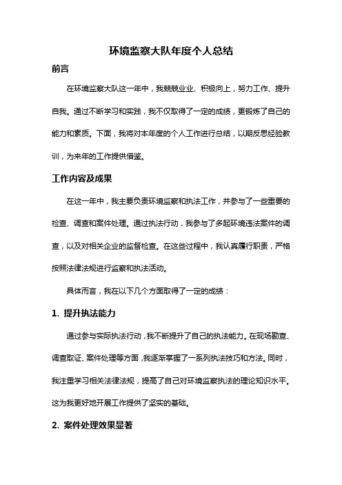 环境监察大队年度个人总结