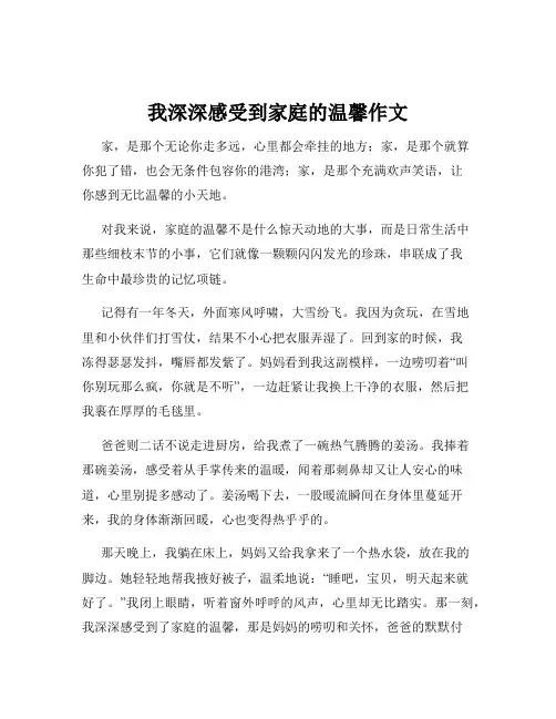 我深深感受到家庭的温馨作文
