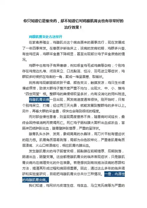 你只知道它是驱虫药，却不知道它对鸡腺肌胃炎也有非常好的治疗效果！