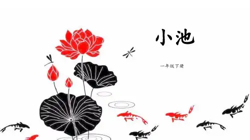 《小池》语文教学PPT课件(2篇)