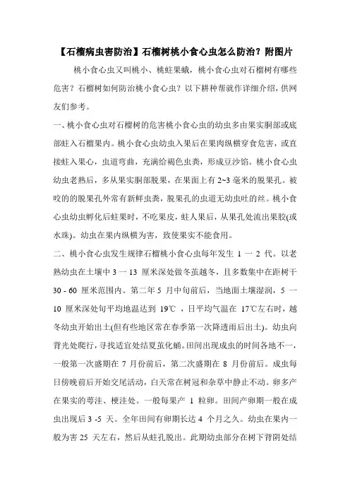 【石榴病虫害防治】石榴树桃小食心虫怎么防治？附图片