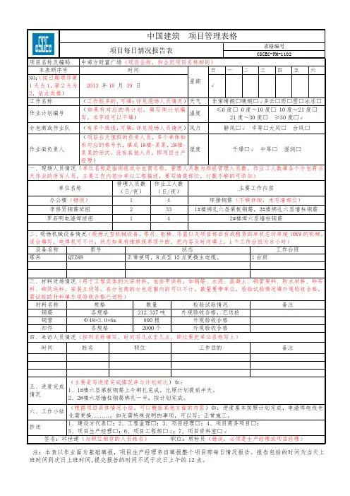 项目每日情况报告表模板