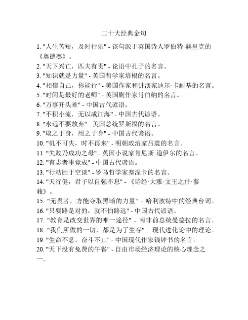 二十大经典金句