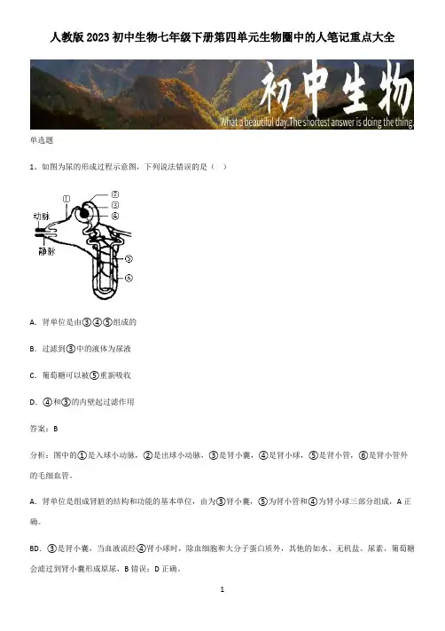 人教版2023初中生物七年级下册第四单元生物圈中的人笔记重点大全