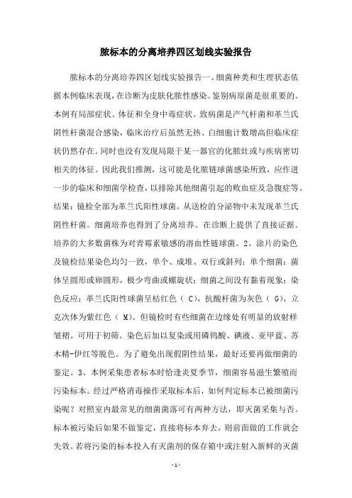 脓标本的分离培养四区划线实验报告