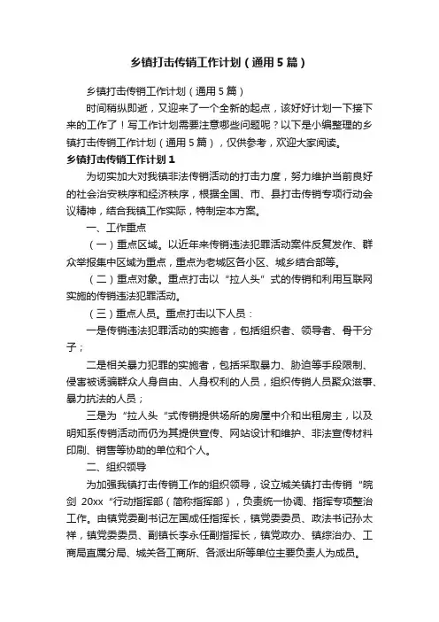乡镇打击传销工作计划（通用5篇）