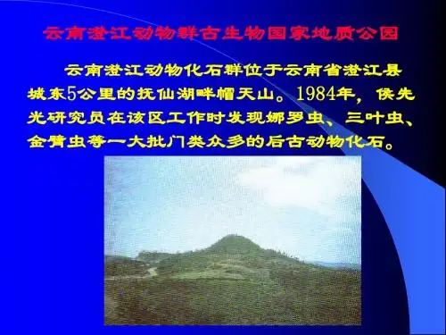 澄江动物群—寒武纪生命大爆发