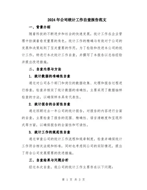 2024年公司统计工作自查报告范文