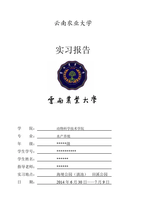 水生生物学实习报告
