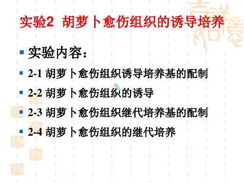 实验2-1胡萝卜愈伤组织诱导培养基的配制
