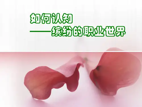 如何认识工作世界ppt课件
