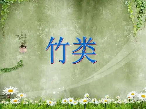 植物造景  竹类