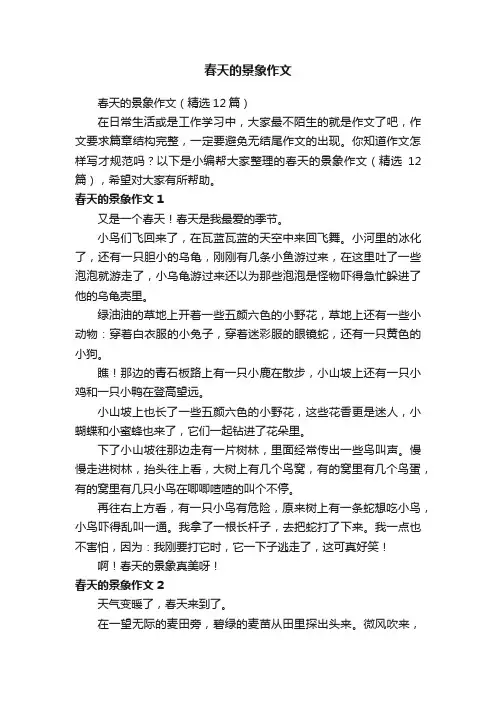 春天的景象作文(精选12篇)