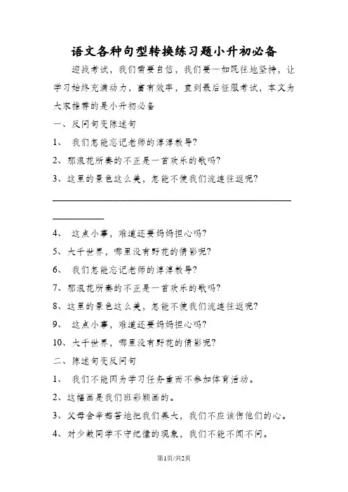 语文各种句型转换练习题小升初必备