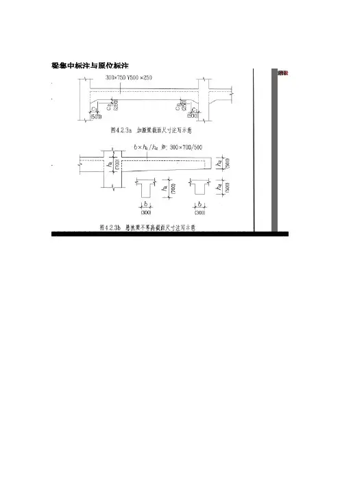 梁集中标注与原位标注