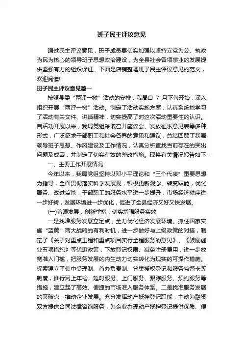 班子民主评议意见