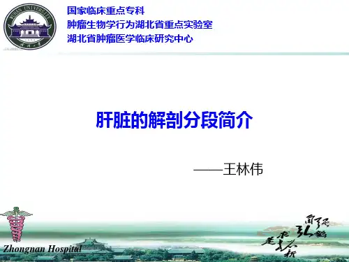 肝脏分段解剖