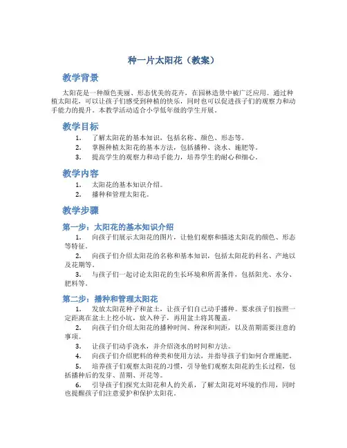 种一片太阳花(教案)
