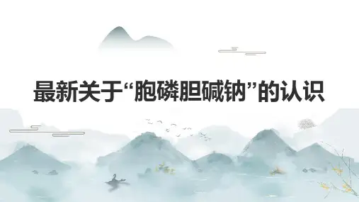 最新关于“胞磷胆碱钠”的认识