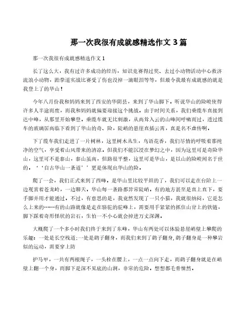 那一次我很有成就感精选作文3篇