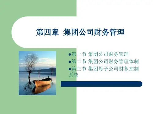 第4章集团公司财务管理s