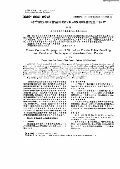 马铃薯脱毒试管苗组培快繁及脱毒种苗的生产技术