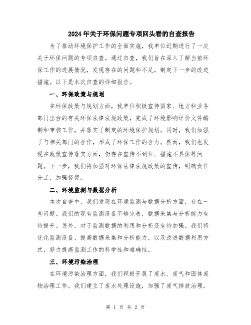 2024年关于环保问题专项回头看的自查报告