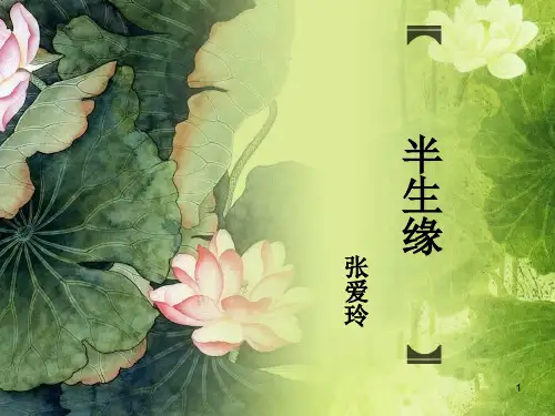 半生缘ppt课件