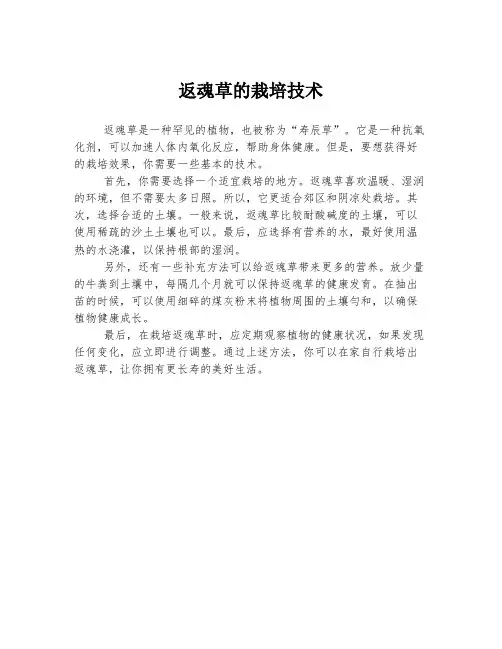 返魂草的栽培技术