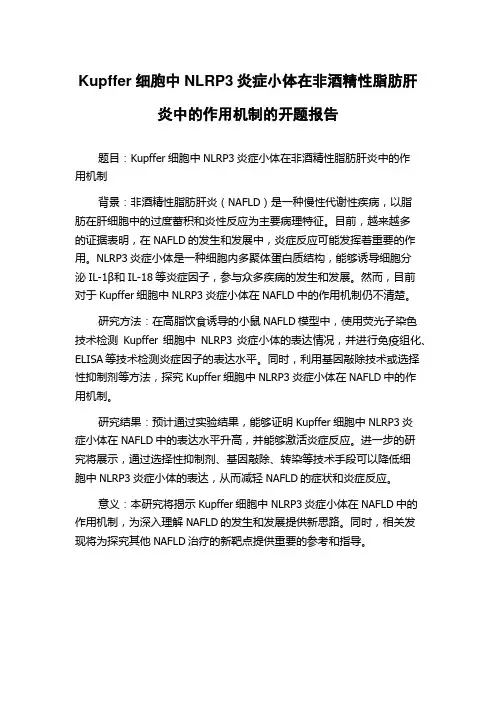 Kupffer细胞中NLRP3炎症小体在非酒精性脂肪肝炎中的作用机制的开题报告