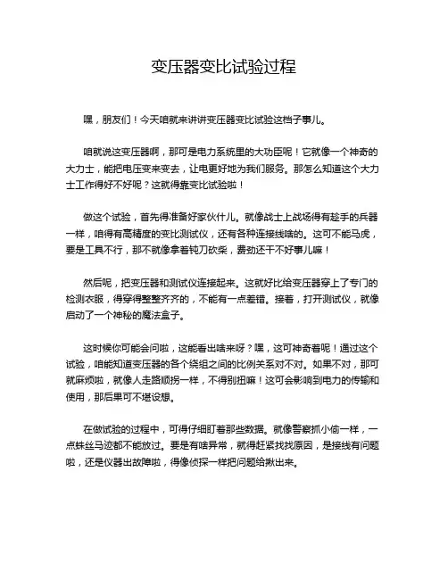 变压器变比试验过程