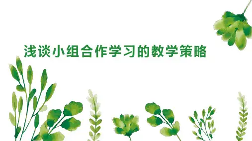 浅谈小组合作学习的教学策略