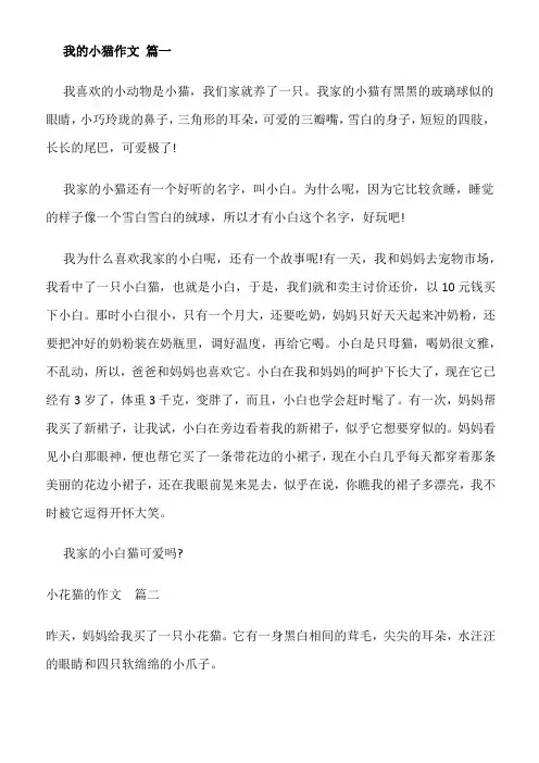 小猫作文150字左右三段