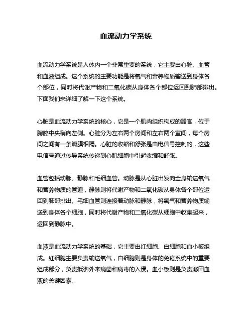 血流动力学系统