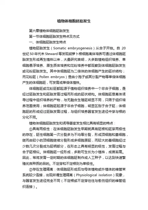 植物体细胞胚胎发生