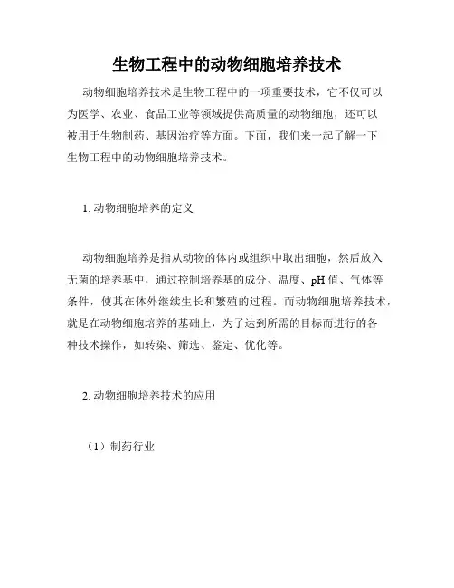 生物工程中的动物细胞培养技术