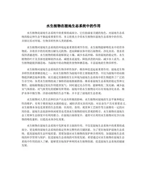 水生植物在湿地生态系统中的作用