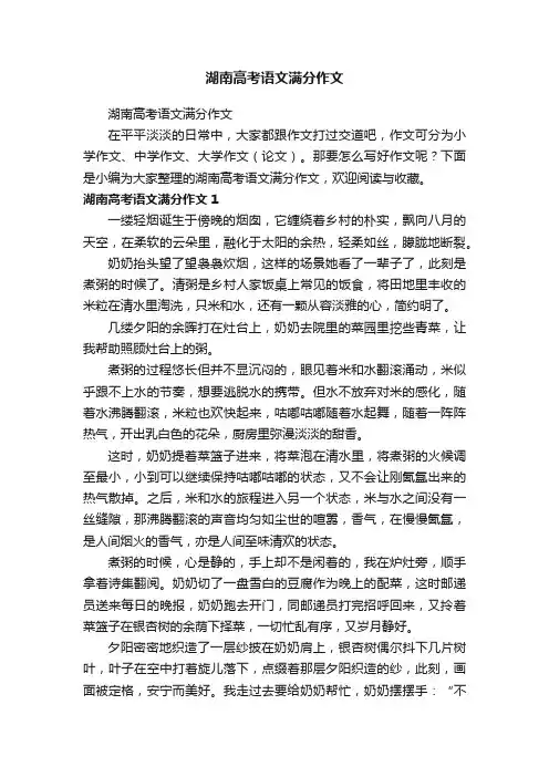 湖南高考语文满分作文