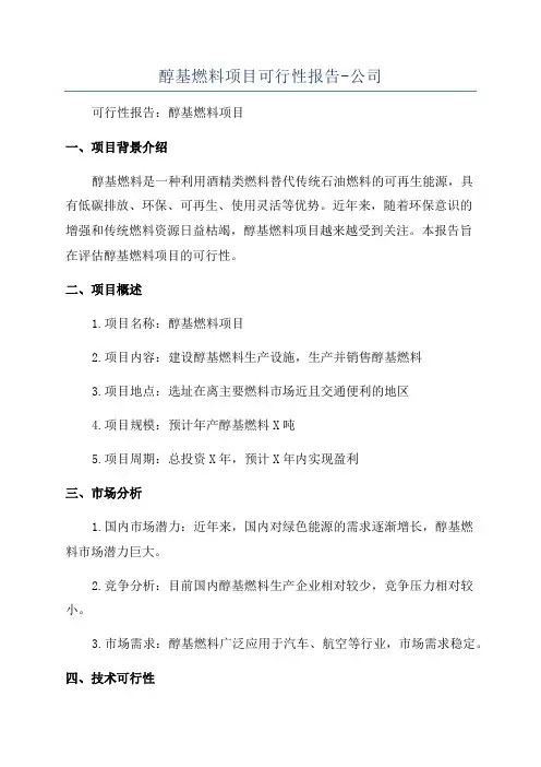 醇基燃料项目可行性报告-公司