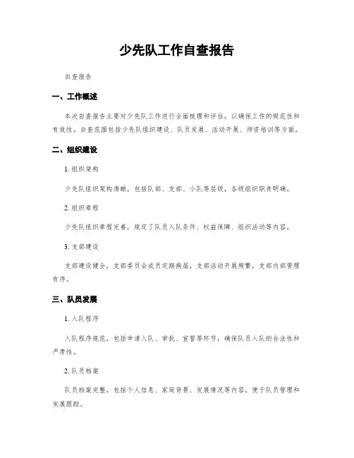 少先队工作自查报告