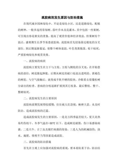 流胶病的发生原因与防治措施