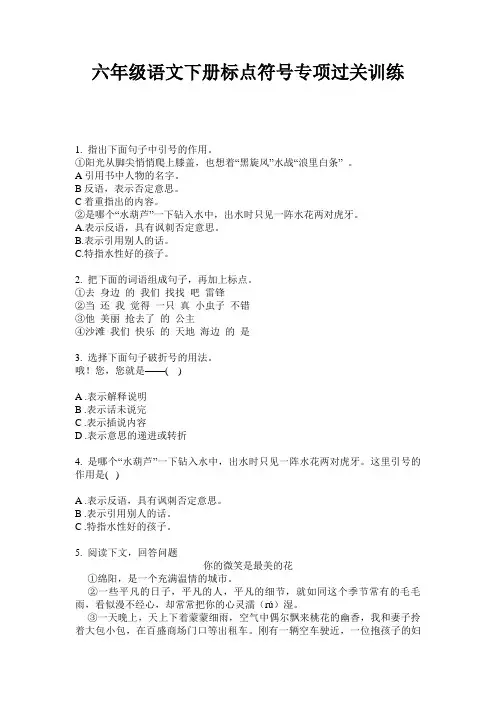 六年级语文下册标点符号专项过关训练