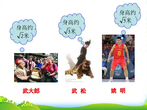人教版七年级数学下册第六章《 平方根》优质课件