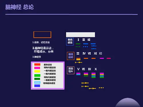 医学百事通移动医疗资料库-脑神经总论